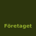 Företaget