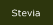 Stevia